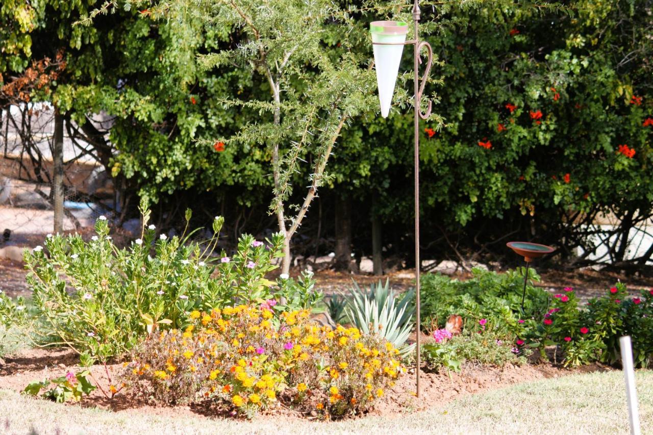 Hotel 86 On Jubilee Oudtshoorn Exterior foto
